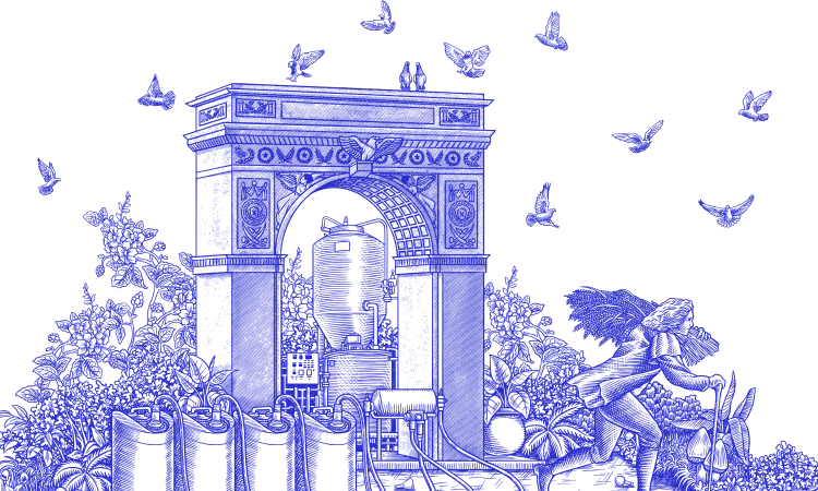 Sosipolis Capital hero toile